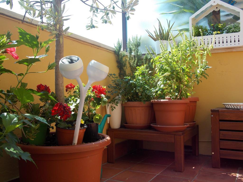 B&B Dei Cavalieri Pisa Bagian luar foto