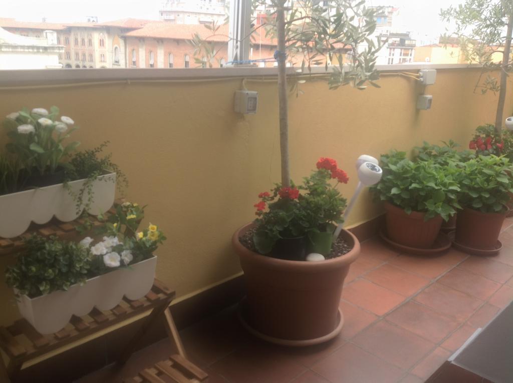 B&B Dei Cavalieri Pisa Bagian luar foto